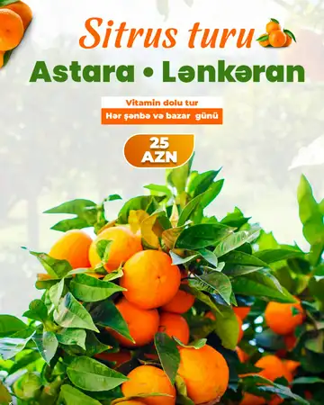1 Günlük Lənkəran - Astara - Sitrus Turu: 25 AZN